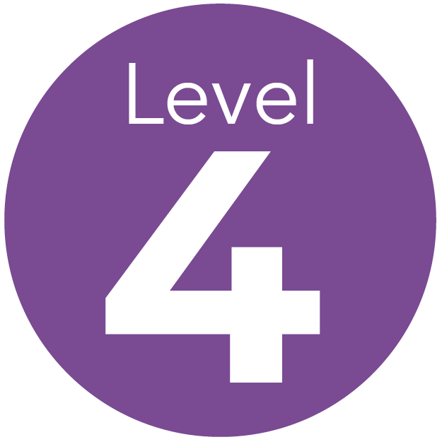 Level 4