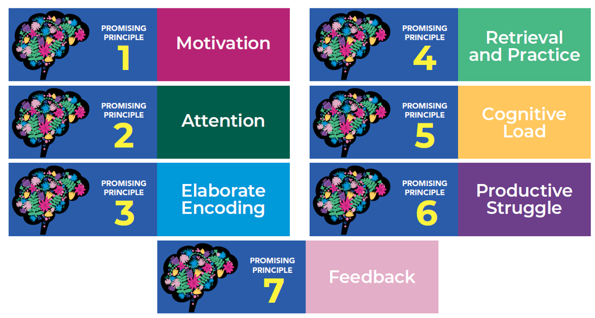 7 promising principles and practices from the science of learning